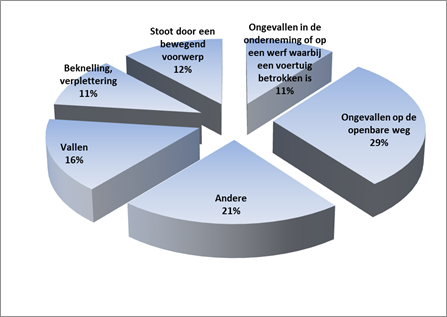 Oorzaken van de dodelijke arbeidsongevallen 2008-2014